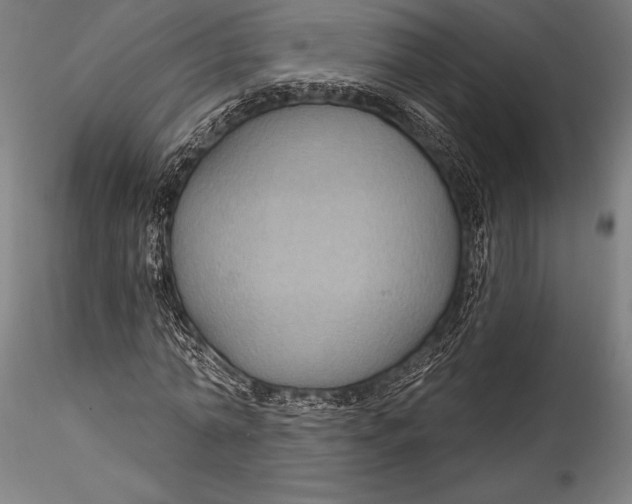 X0000115530774200911271345