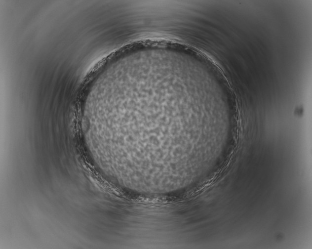 X0000115530775200911271345