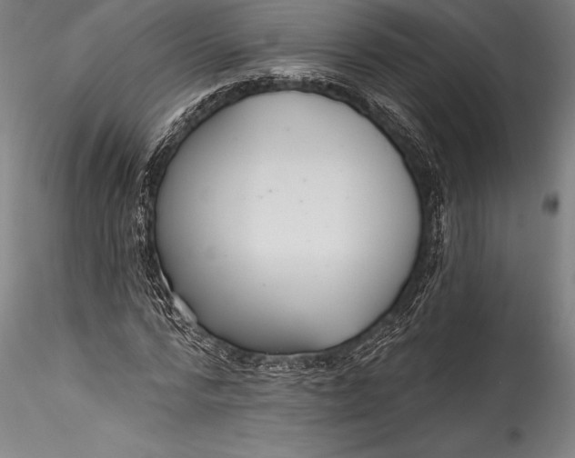 X0000115530776200911271345