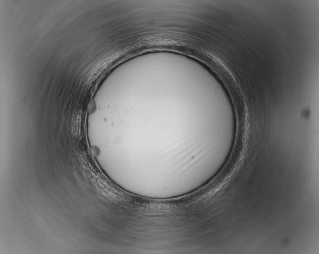 X0000115530777200911271345