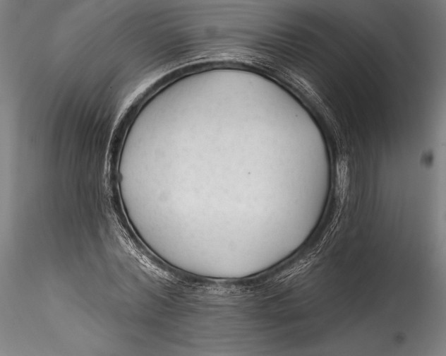 X0000115530780200911271345