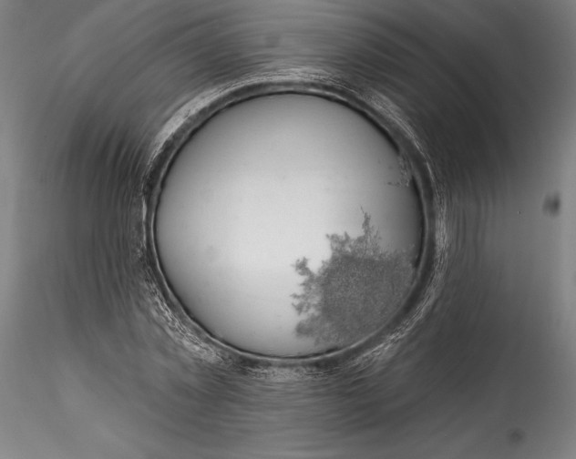 X0000115530781200911271345