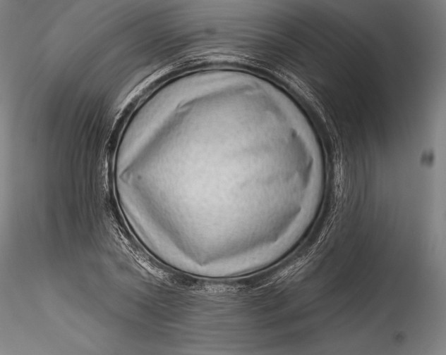 X0000115530782200911271345