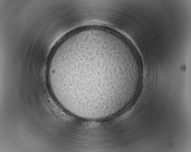 X0000115530783200911271345