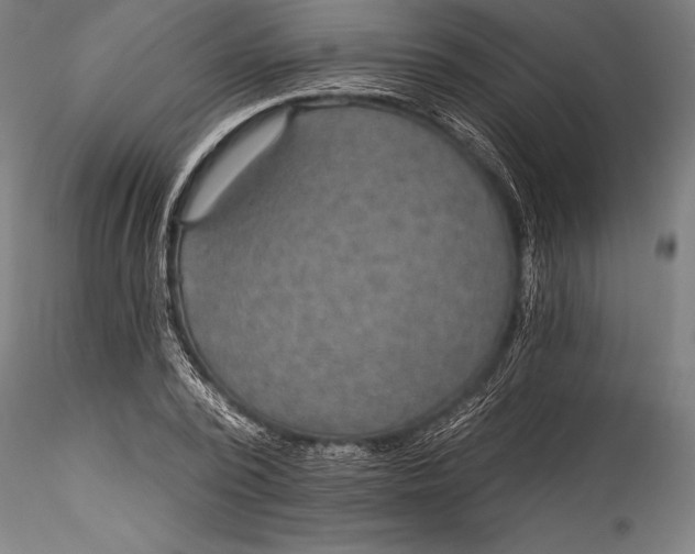 X0000115530784200911271345