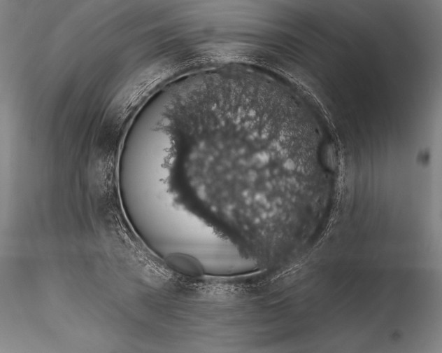 X0000115530785200911271345