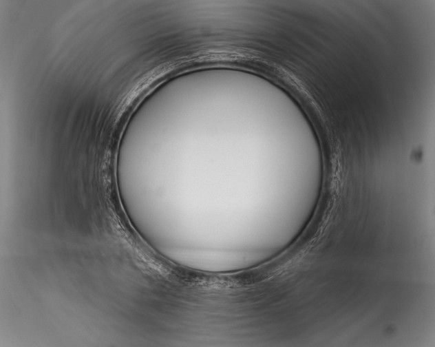 X0000115530786200911271345