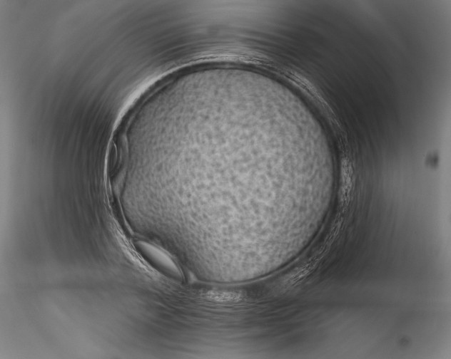 X0000115530788200911271345