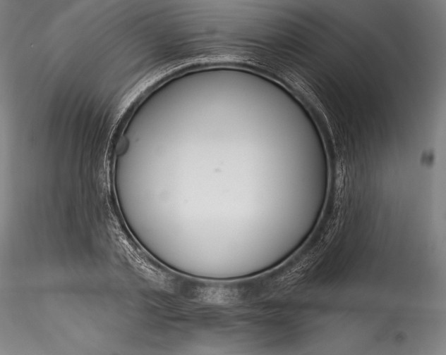 X0000115530789200911271345