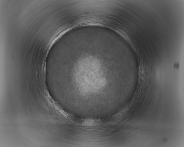 X0000115530790200911271345