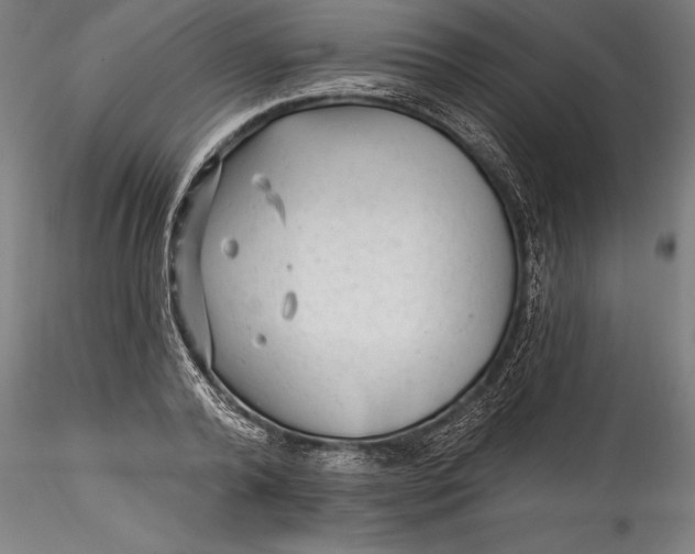 X0000115530792200911271345