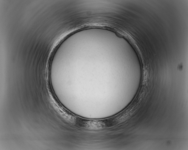 X0000115530795200911271345