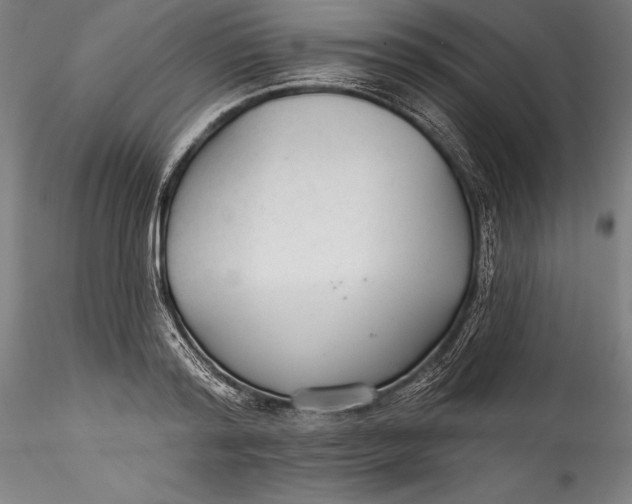 X0000115530796200911271345