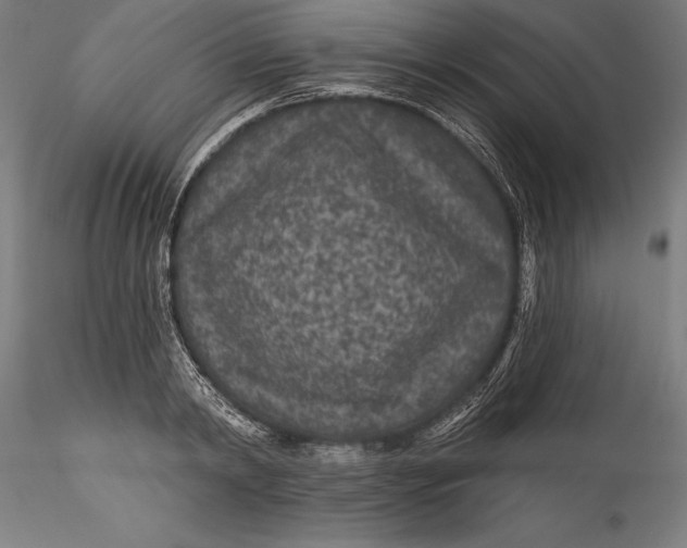 X0000115530798200911271345