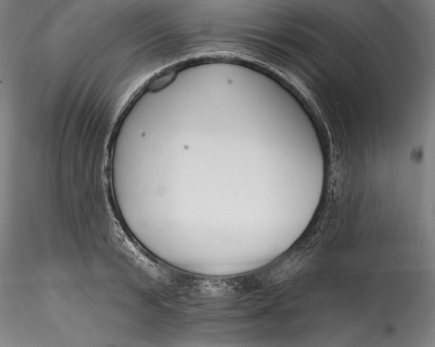 X0000115530799200911271345