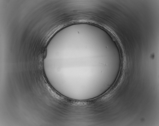 X0000115530801200911271345