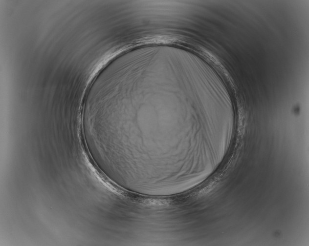 X0000115530802200911271345