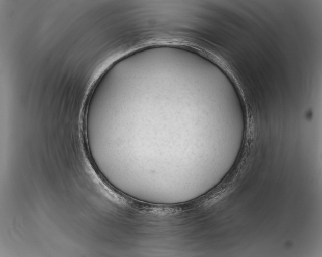 X0000115530803200911271345