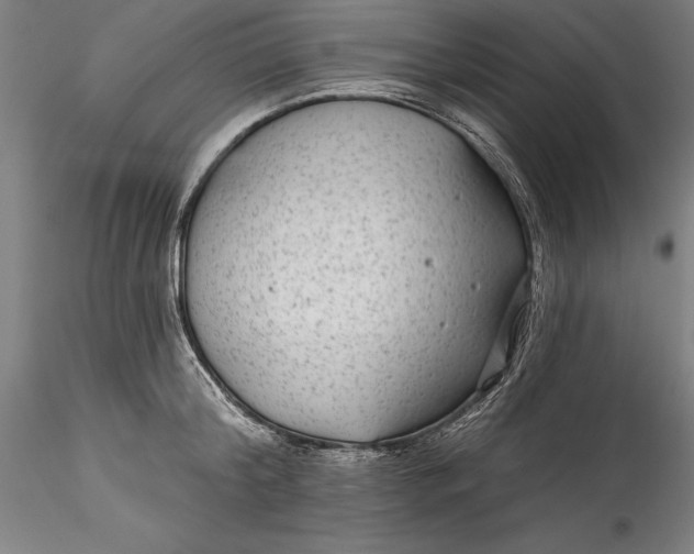 X0000115530804200911271345