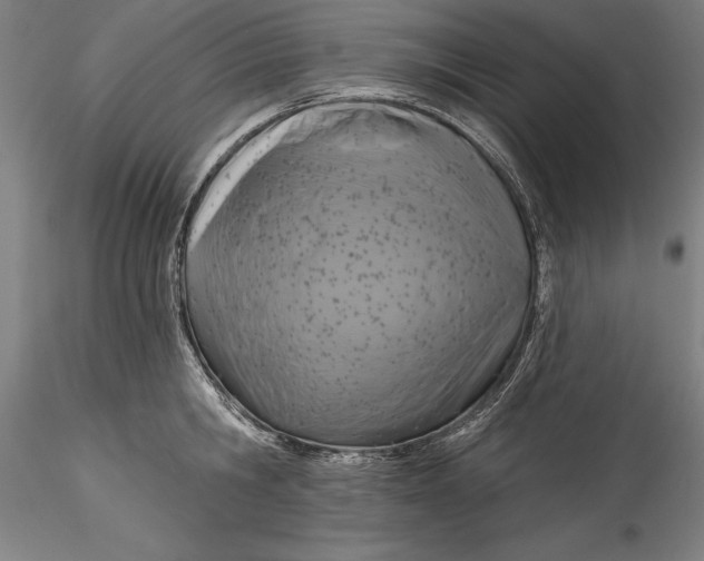 X0000115530806200911271345