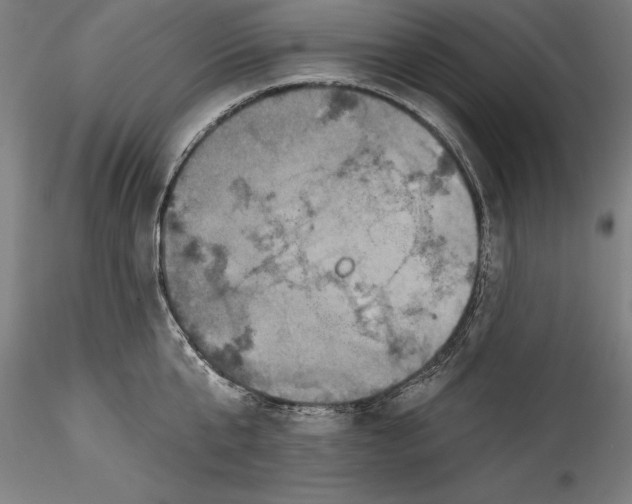 X0000115530807200911271345