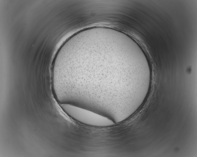 X0000115530808200911271345