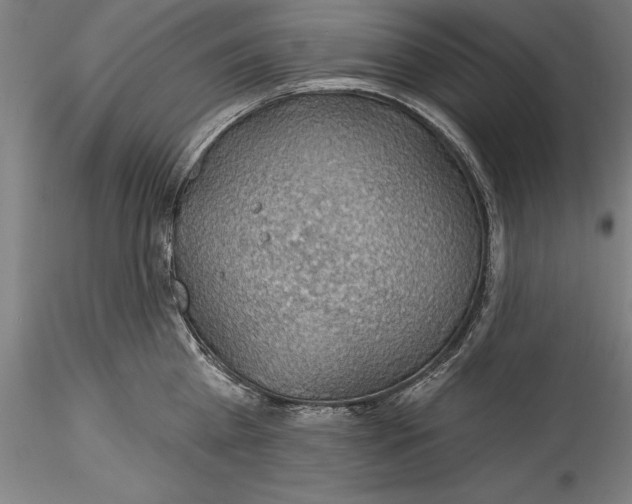 X0000115530809200911271345