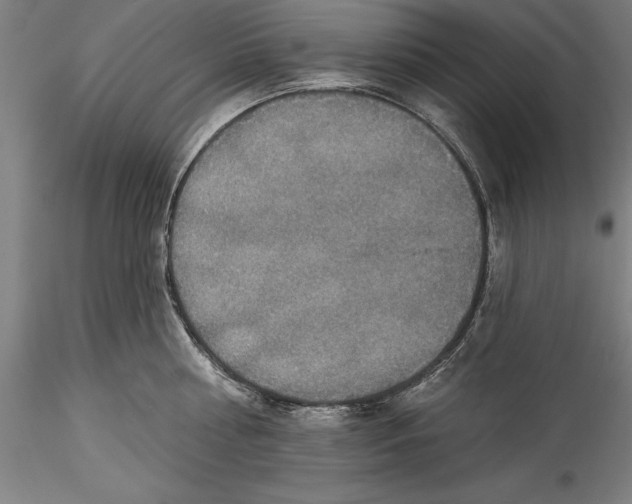 X0000115530810200911271345