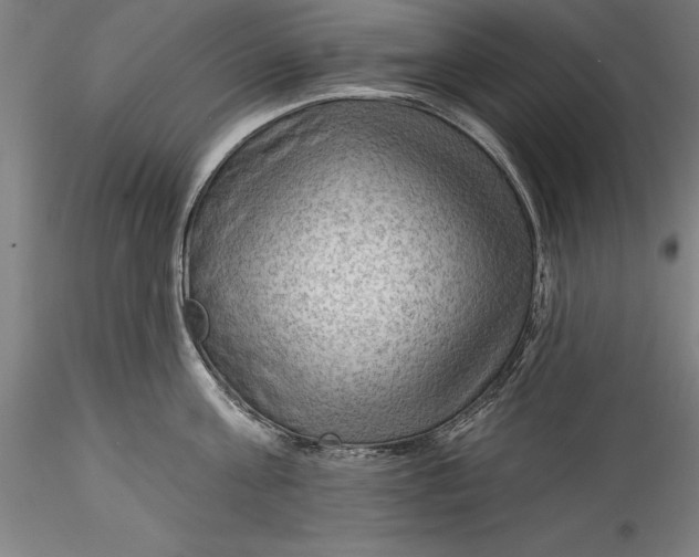 X0000115530811200911271345