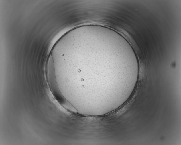 X0000115530812200911271345