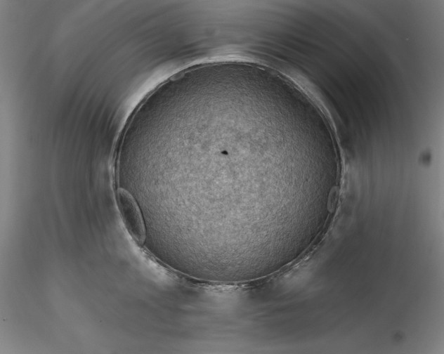 X0000115530813200911271345