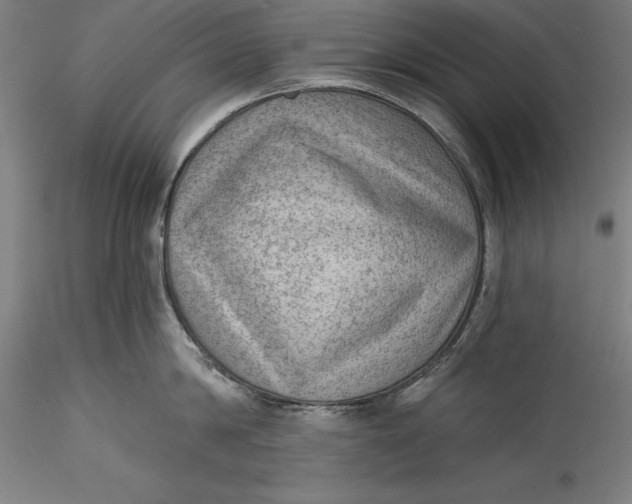 X0000115530814200911271345