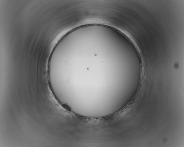 X0000115530815200911271345