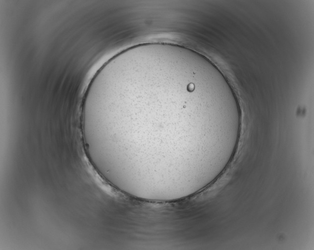 X0000115530816200911271345