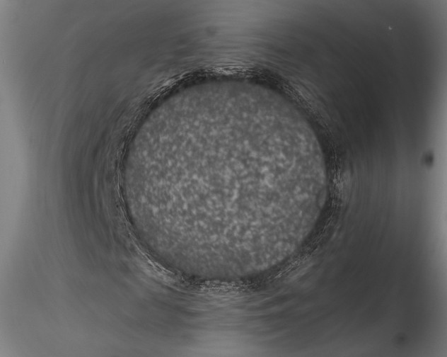 X0000115530817200911271344