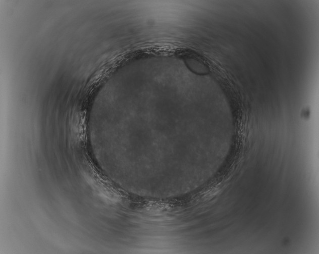 X0000115530818200911271344