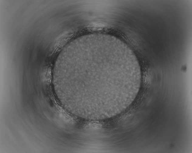 X0000115530820200911271344