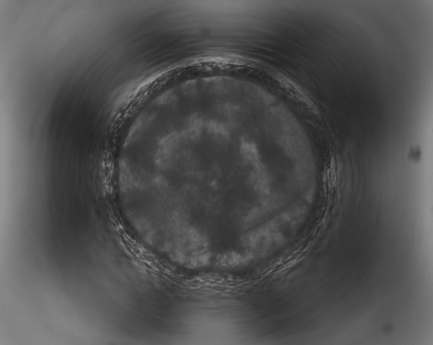 X0000115530822200911271344