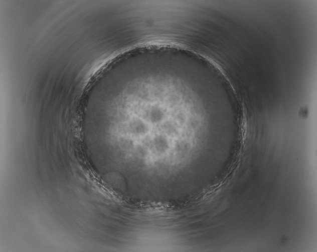 X0000115530823200911271344