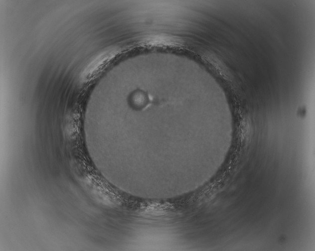 X0000115530824200911271344