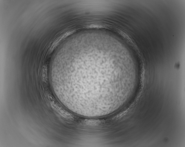 X0000115530825200911271344