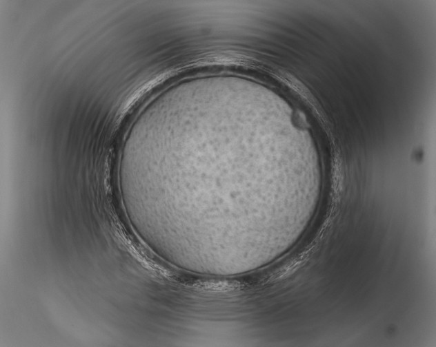 X0000115530826200911271344