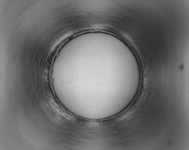 X0000115530827200911271344