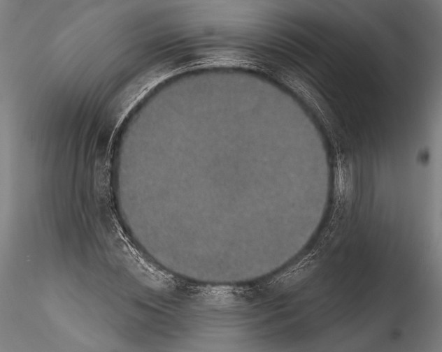 X0000115530828200911271344