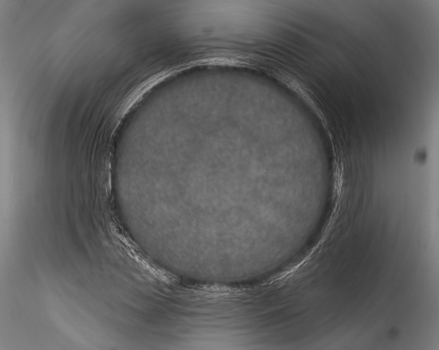 X0000115530829200911271344