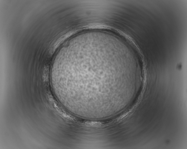 X0000115530833200911271344