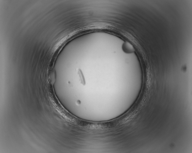 X0000115530834200911271344