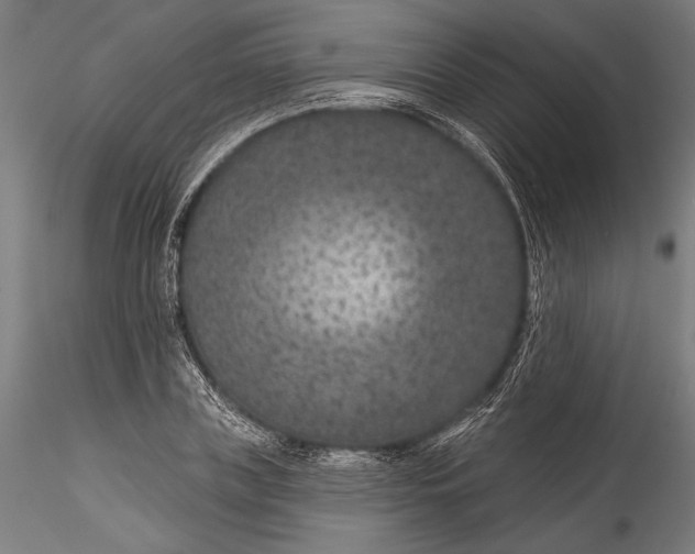 X0000115530835200911271344