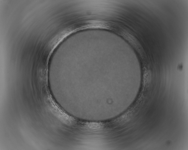 X0000115530836200911271344