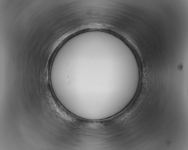 X0000115530837200911271344